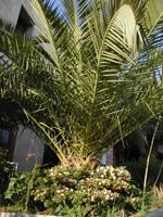 AGRITURISMO CALLY CALLY - NICOTERA **** Mit Pool und Meerblick!