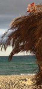 TORRE DEL GOLFO-CROPANI MARINA***-200m vom Meer!